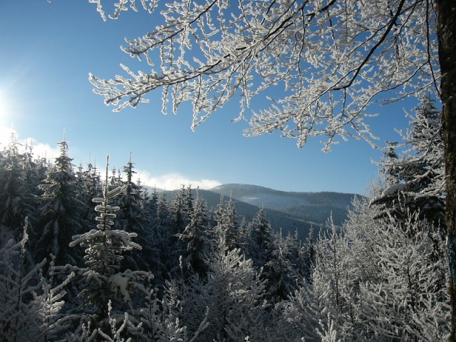 Ordogmalom (00).jpg
